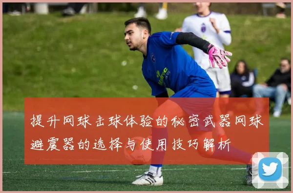 提升网球击球体验的秘密武器网球避震器的选择与使用技巧解析