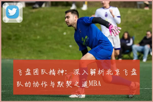 飞盘团队精神：深入解析北京飞盘队的协作与默契之道MBA