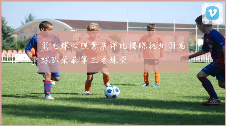 羽毛球心理素质评比揭晓杭州羽毛球队荣获第三名殊荣