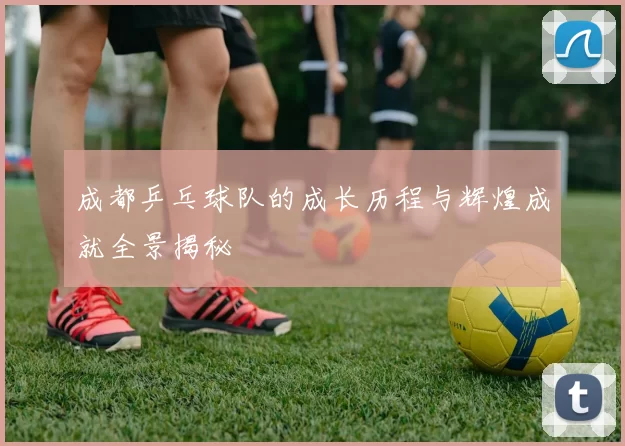成都乒乓球队的成长历程与辉煌成就全景揭秘